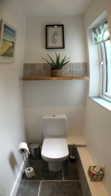 Cosy Rustic Annex In Quiet Cornwall Village 圣维恩 外观 照片