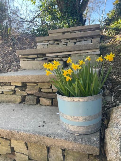 Cosy Rustic Annex In Quiet Cornwall Village 圣维恩 外观 照片